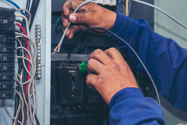Best Ceiling Fan Installation Electrician  in Sesser, IL