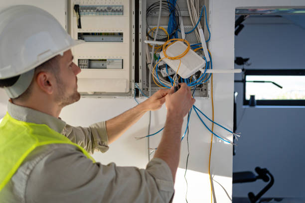 Best Electric Panel Repair  in Sesser, IL